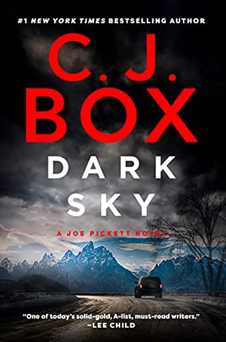 Image 0 of Dark Sky (A Joe Pickett Novel)