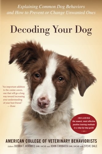 Decoding Your Dog: Explaining Common Dog Behaviors and How to Prevent or Change 