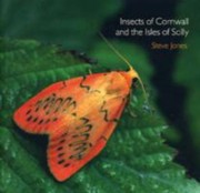 Insects Of Cornwall And The Isles Of Scilly