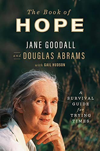 Image 0 of The Book of Hope: A Survival Guide for Trying Times (Global Icons Series)