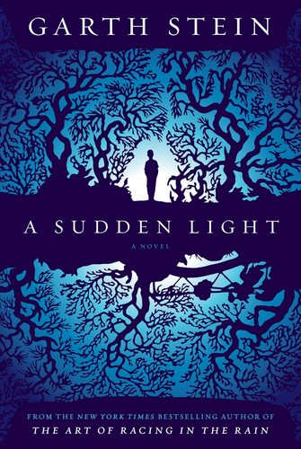 Image 0 of A Sudden Light: A Novel