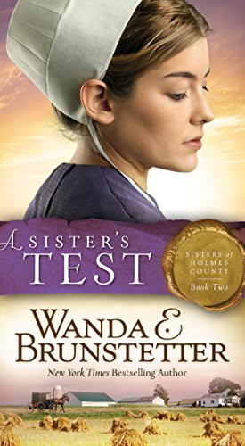 A Sister's Test (Volume 2) (Sisters of Holmes County)