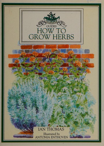 Image 0 of How to Grow Hebs