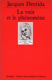 La voix et le phénomène