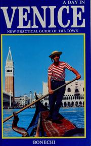 Cover of New Practical Guide of Venice by Vittorio Serra