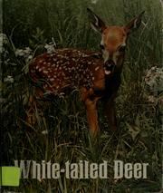 Cover of White-tailed Deer by Anne LaBastille