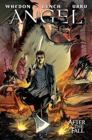 Cover of: Angel: After The Fall