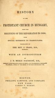 Cover image for History of the Protestant Church in Hungary
