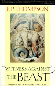 Cover of: Witness against the beast: William Blake and the Moral Law