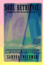 Cover of: Soul Retrieval