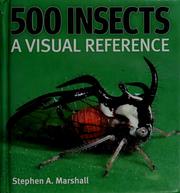 Cover of: 500 insects