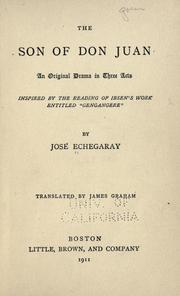 Cover of: The son of Don Juan