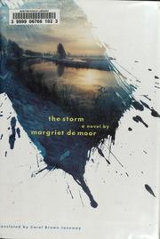 best books about netherlands The Storm