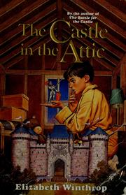 Cover of: The Castle in the Attic ~ A fantastic, magical adventure waits for William inside . . 