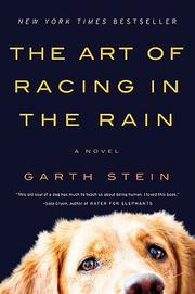 best books about Seattle The Art of Racing in the Rain