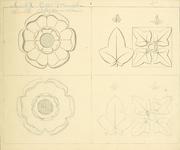 Cover of: Public school drawing course