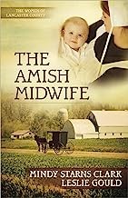 best books about amish fiction The Amish Midwife