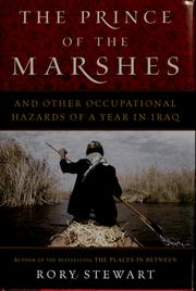 best books about The War In Iraq The Prince of the Marshes: And Other Occupational Hazards of a Year in Iraq