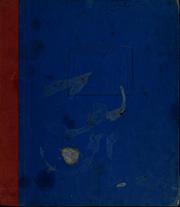 Cover of: Lynn Hollyn's Christmas toyland