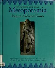 Cover of: Mesopotamia, Iraq in ancient times