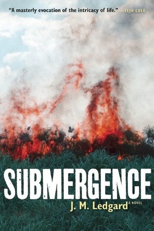 Cover image for Submergence