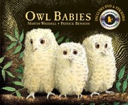 best books about owls Owl Babies