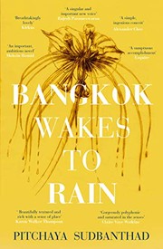 best books about Thailand Fiction Bangkok Wakes to Rain