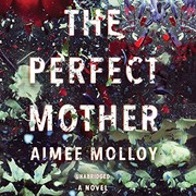 best books about motherhood fiction The Perfect Mother