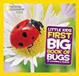 best books about Bugs For Kids National Geographic Little Kids First Big Book of Bugs