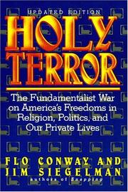 Cover of: Holy terror: fundamentalist war on America's freedoms in religion, politics, and our private lives