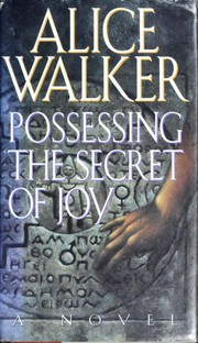 Cover of: Possessing the Secret of Joy