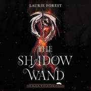 best books about Magic Schools For Adults The Shadow Wand