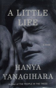 best books about mental health fiction A Little Life