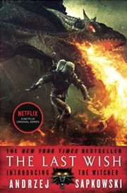 best books about Video Games Fiction The Last Wish: Introducing the Witcher