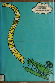 Cover of: The man in the Sopwith Camel