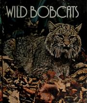 Cover of: Wild bobcats