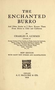 Cover of: The enchanted burro