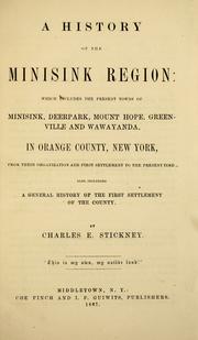 Cover image for A History of the Minisink Region