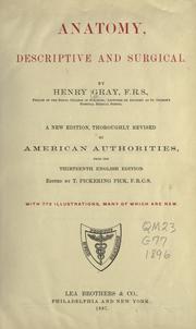 Cover of: Anatomy: descriptive and surgical
