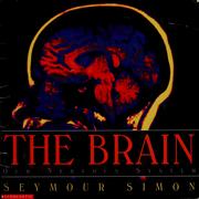 Cover of: The Brain: Our Nervous System