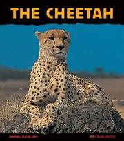 Cover of: The cheetah