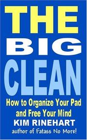 best books about cleaning The Big Clean