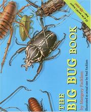 best books about Bugs For Preschoolers The Big Bug Book