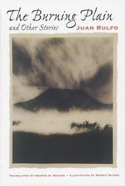 Cover of: The Burning Plain, and Other Stories
