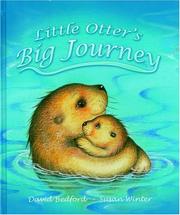 Little Otter's Big Journey by David Bedford