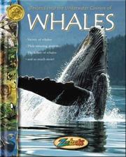 Cover of: Whales (Zoobooks) by John Bonnett Wexo